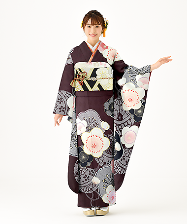 振袖レンタル衣装_70-HAF-C202S（茶 レトロ・モダン 格調）