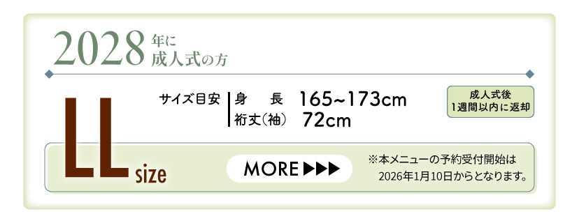 2028年成人振袖（LLサイズ）