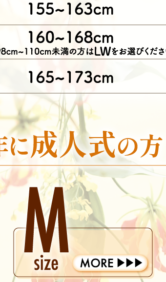 2027年成人振袖（Mサイズ）