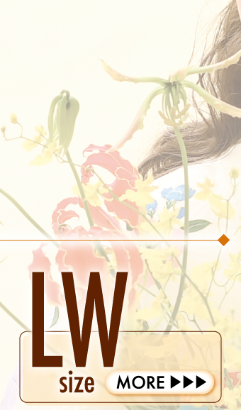 2027年成人振袖（LWサイズ）